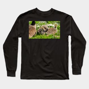 Canada Geese Goslings Resting On The Grass Long Sleeve T-Shirt